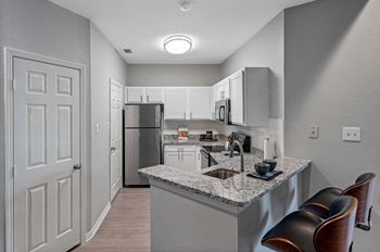 Luxurious  Apartment Kitchen at Windsor Highwoods Preserve, Tampa, FL 33647
